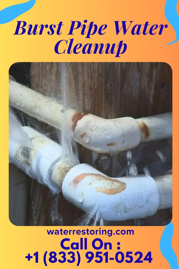 Burst Pipe Water Cleanup in Cando, ND