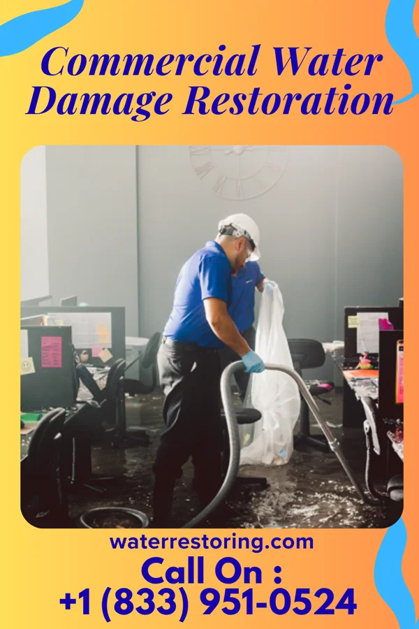 Commercial Water Damage Restoration in Cando, ND