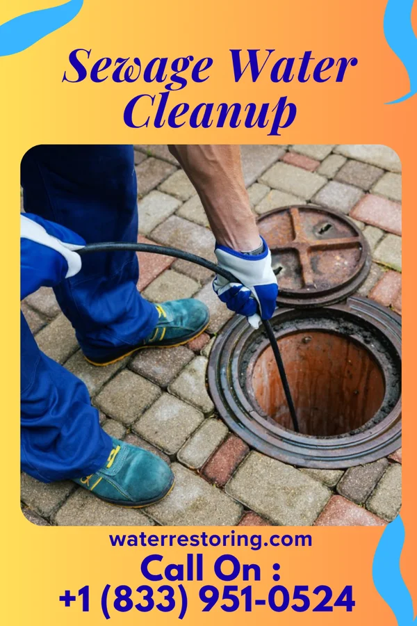 Sewage Water Cleanup in Cando, ND
